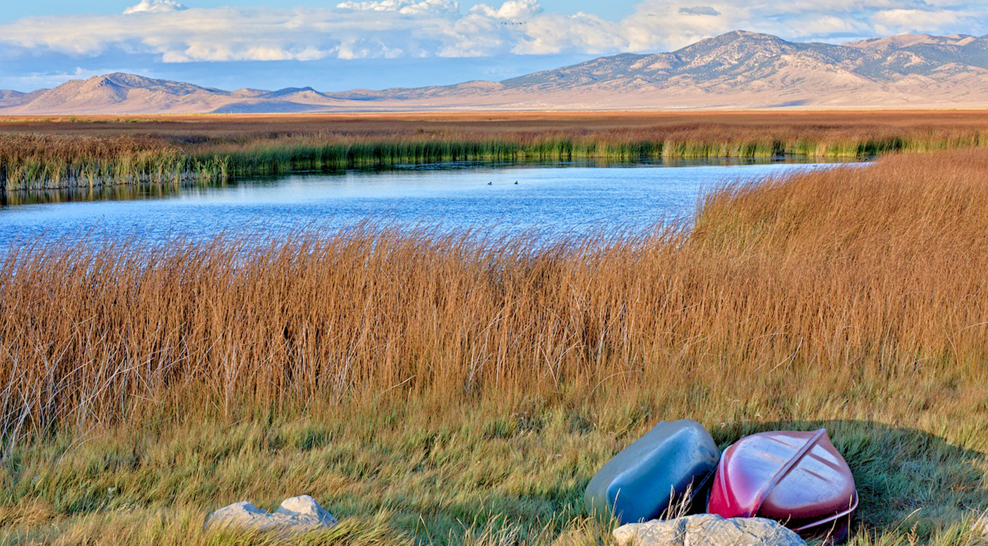 Ruby Lake Refuge - Bob Tregilus photo